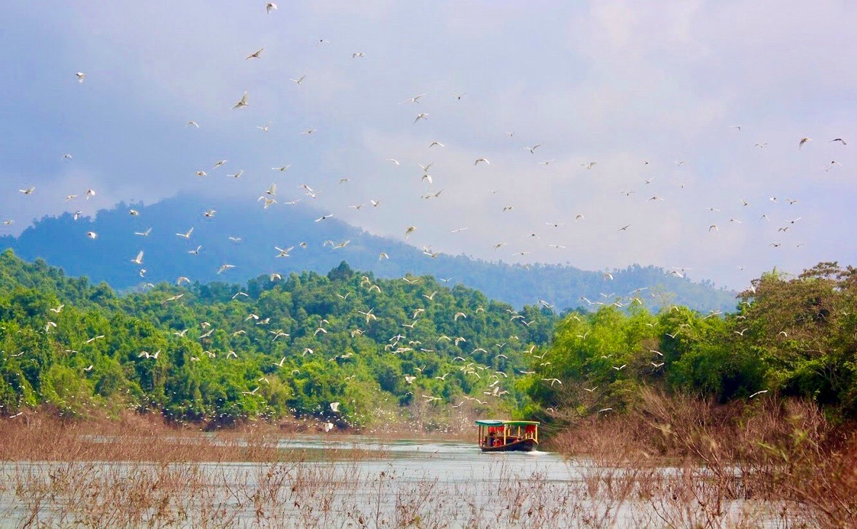 Vẻ đẹp hoang sơ của 'viên ngọc xanh' ở Hà Tĩnh